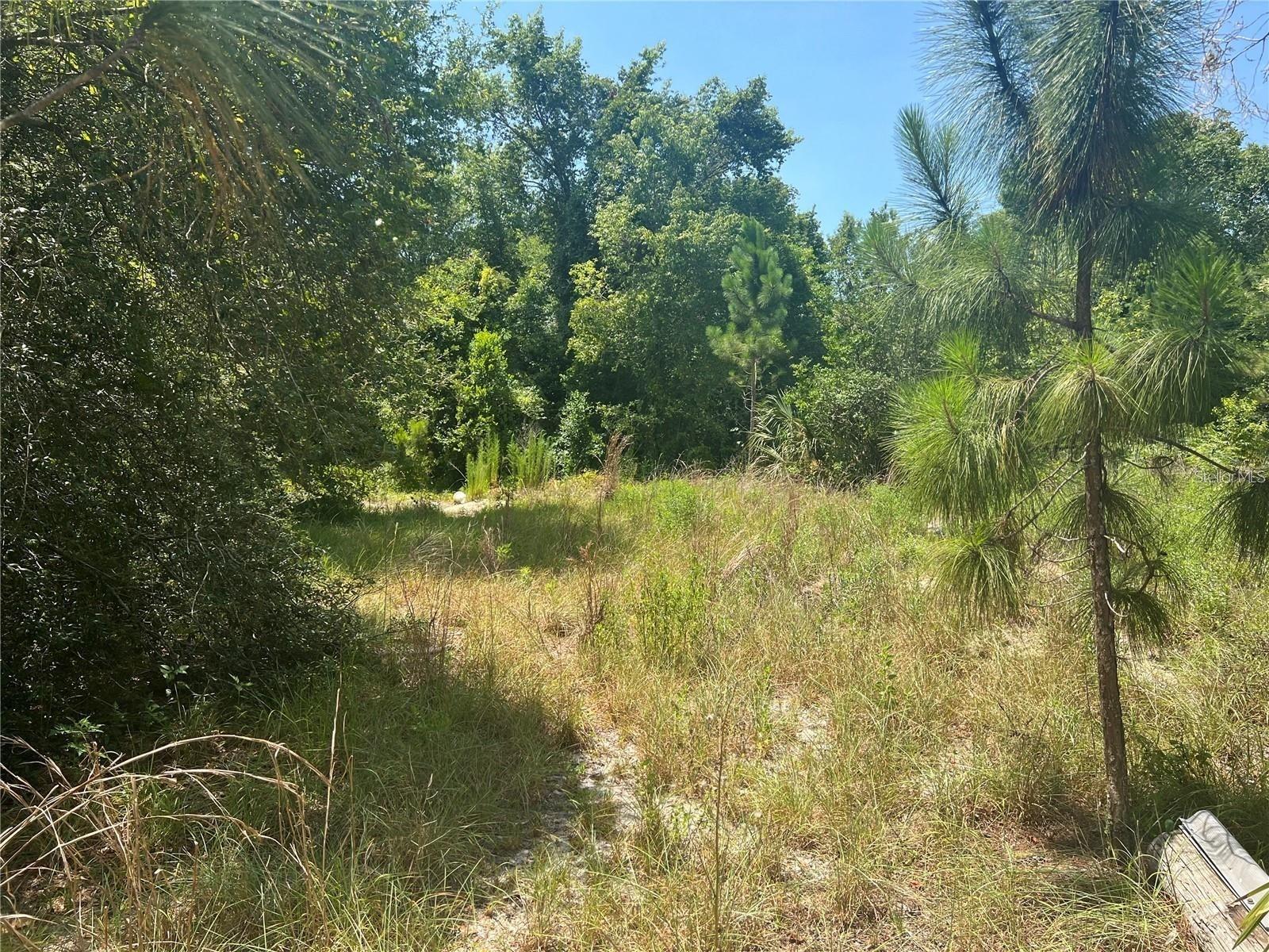 Photo of 40314 LIME STREET EUSTIS FL 32736