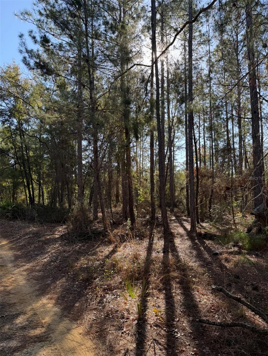 Photo of TBT 5TH WAY INTERLACHEN FL 32148