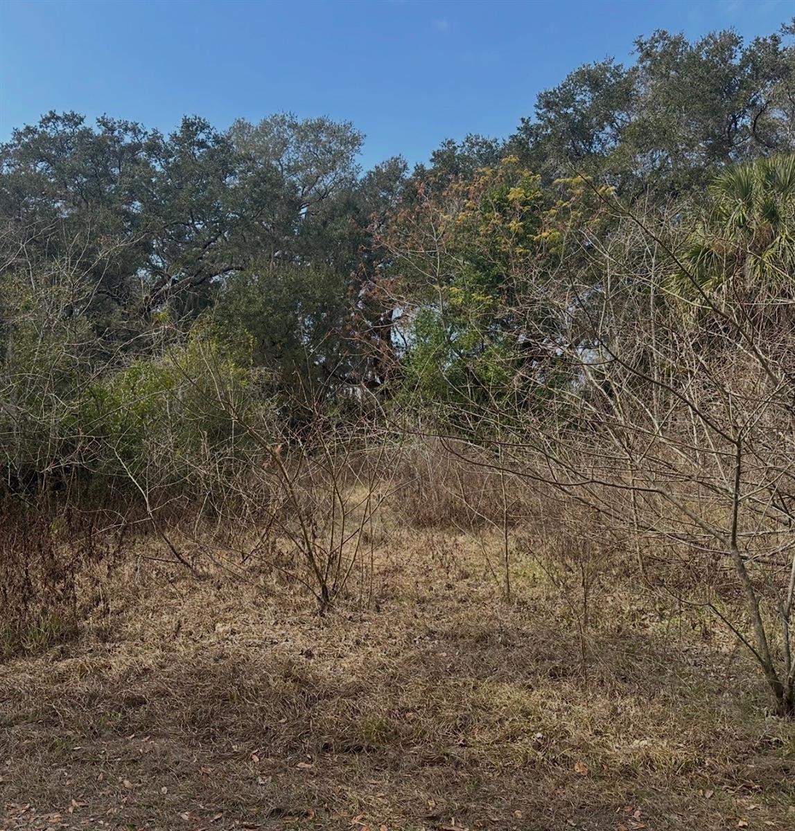 Photo of 16644 SE 134TH TERRACE WEIRSDALE FL 32195