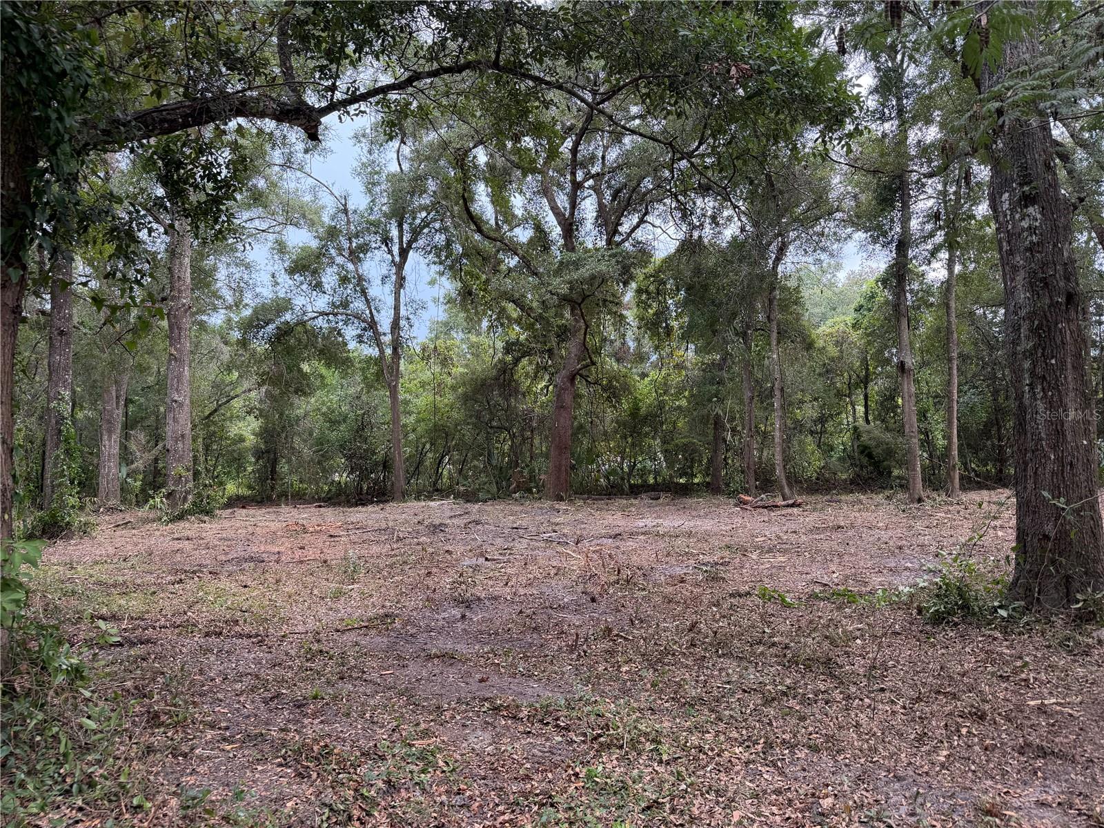 Photo of 1410 NW 10TH STREET CHIEFLAND FL 32626