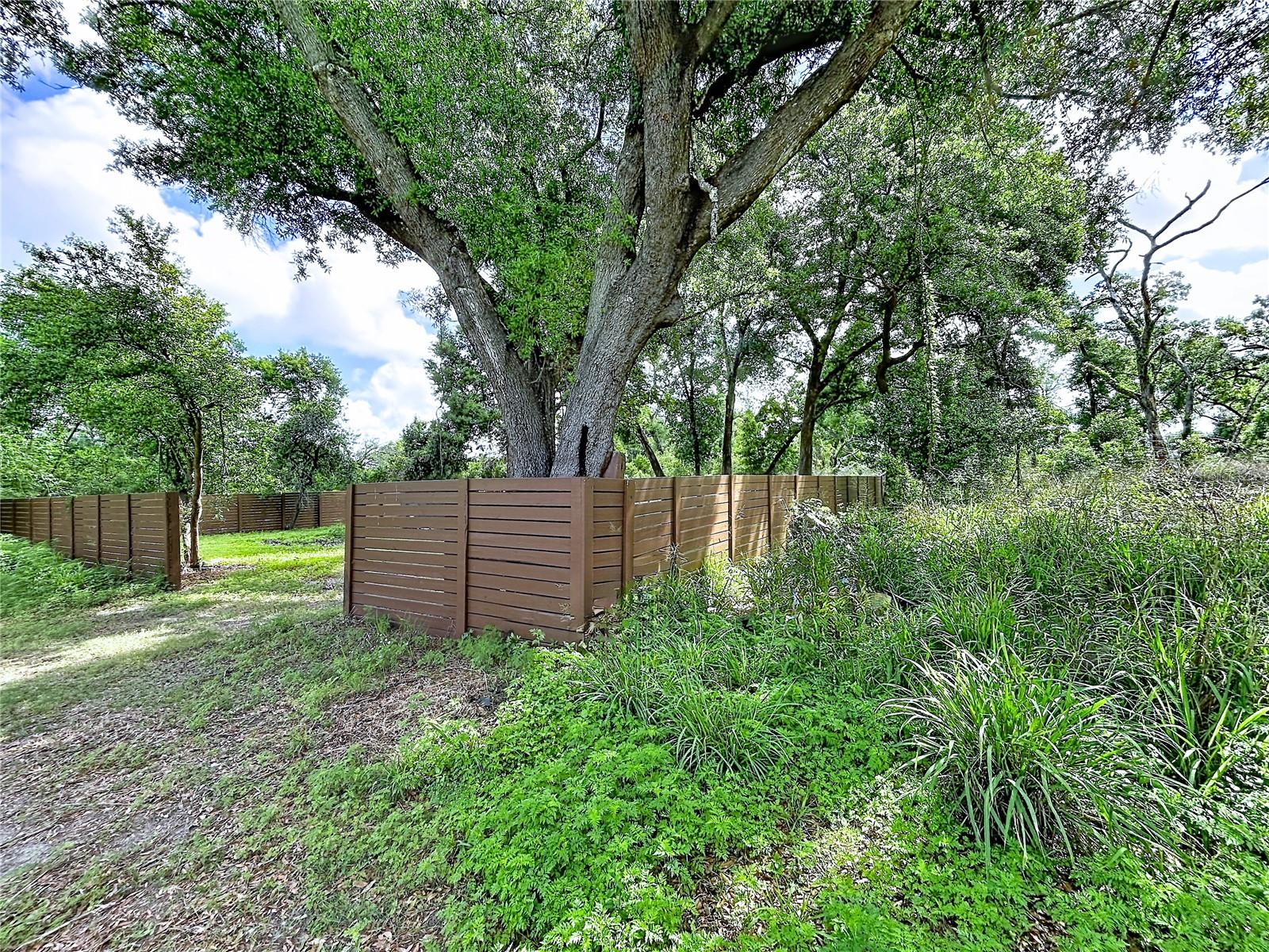 Photo of 1029 ROBSON AVENUE SEFFNER FL 33584