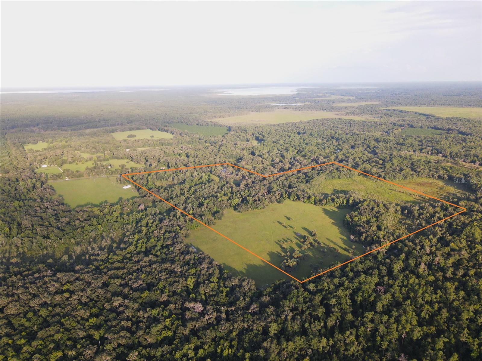 Photo of 11816 SE COUNTY ROAD 234 MICANOPY FL 32667