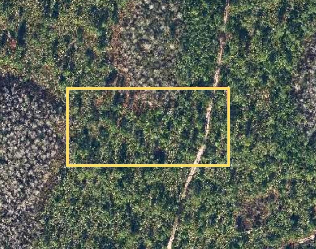 Photo of DILL ROAD CHRISTMAS FL 32709