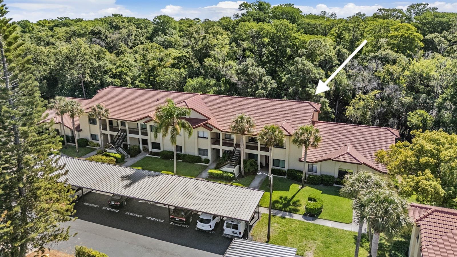 Photo of 1801 E LAKE ROAD #6J PALM HARBOR FL 34685