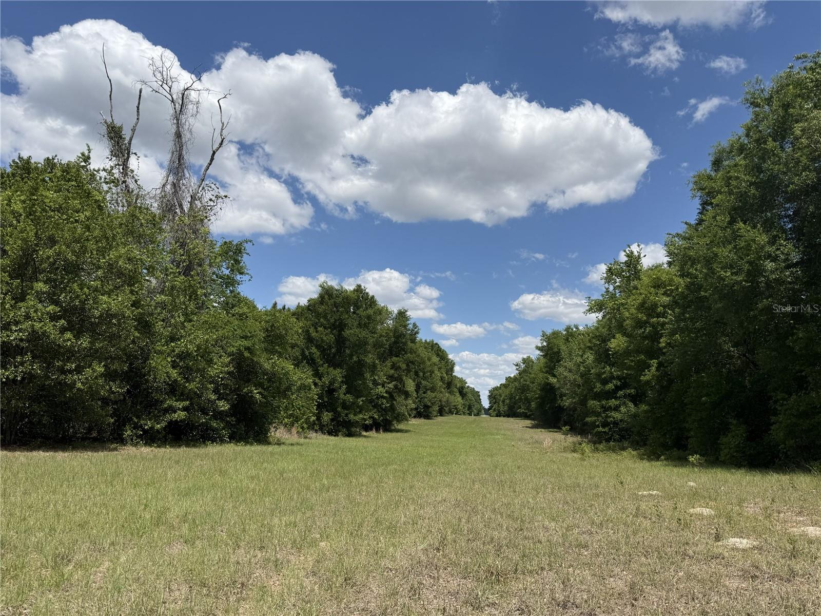 Photo of 0 NW 140TH STREET CHIEFLAND FL 32626