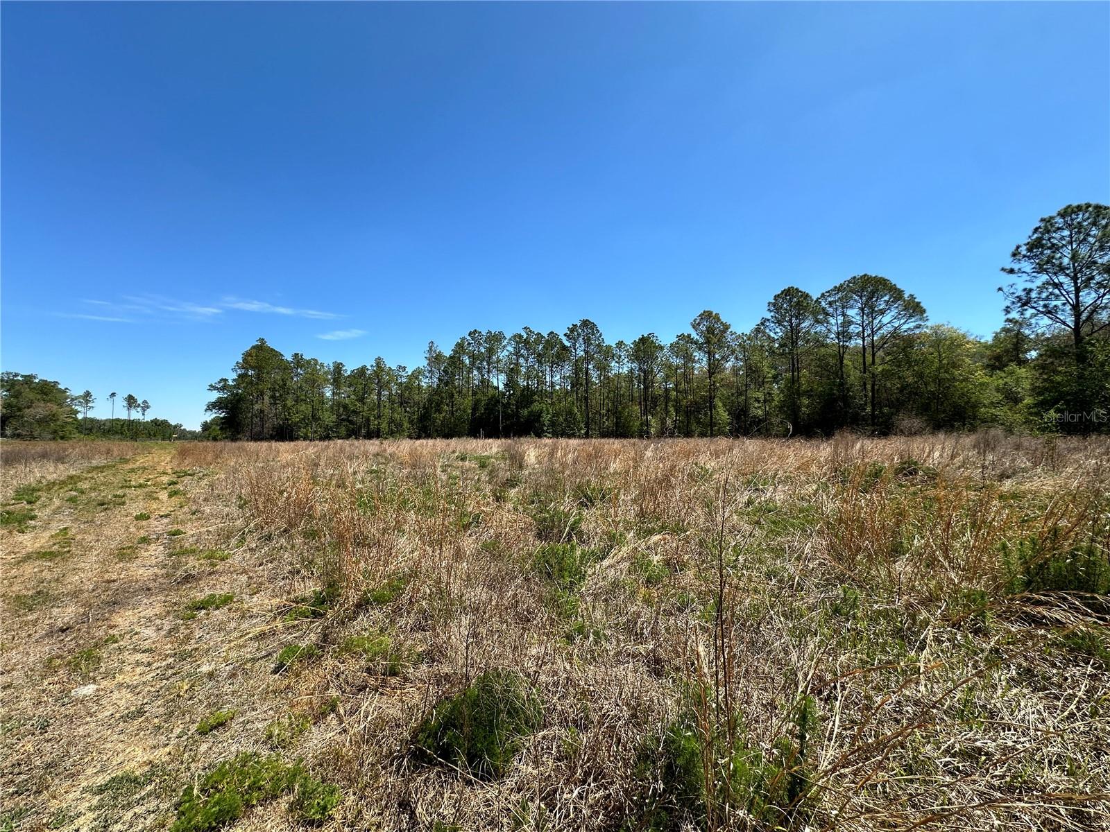Photo of TBD NE 128TH LANE BRONSON FL 32621