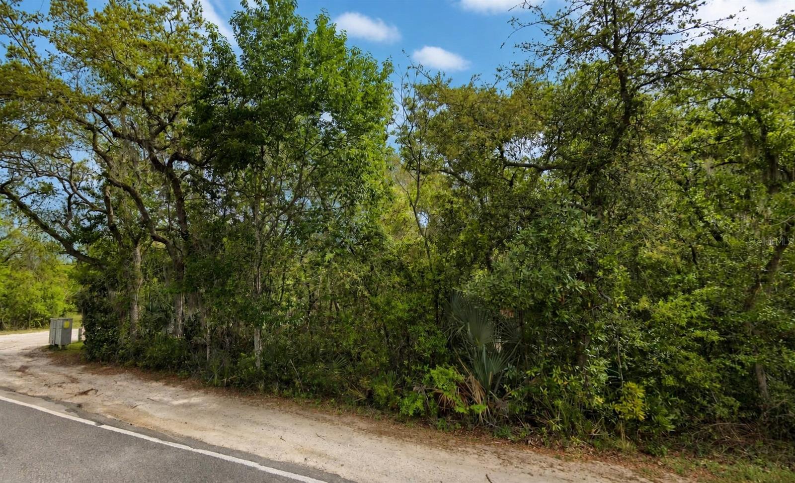 Photo of NE 154TH PLACE FORT MC COY FL 32134