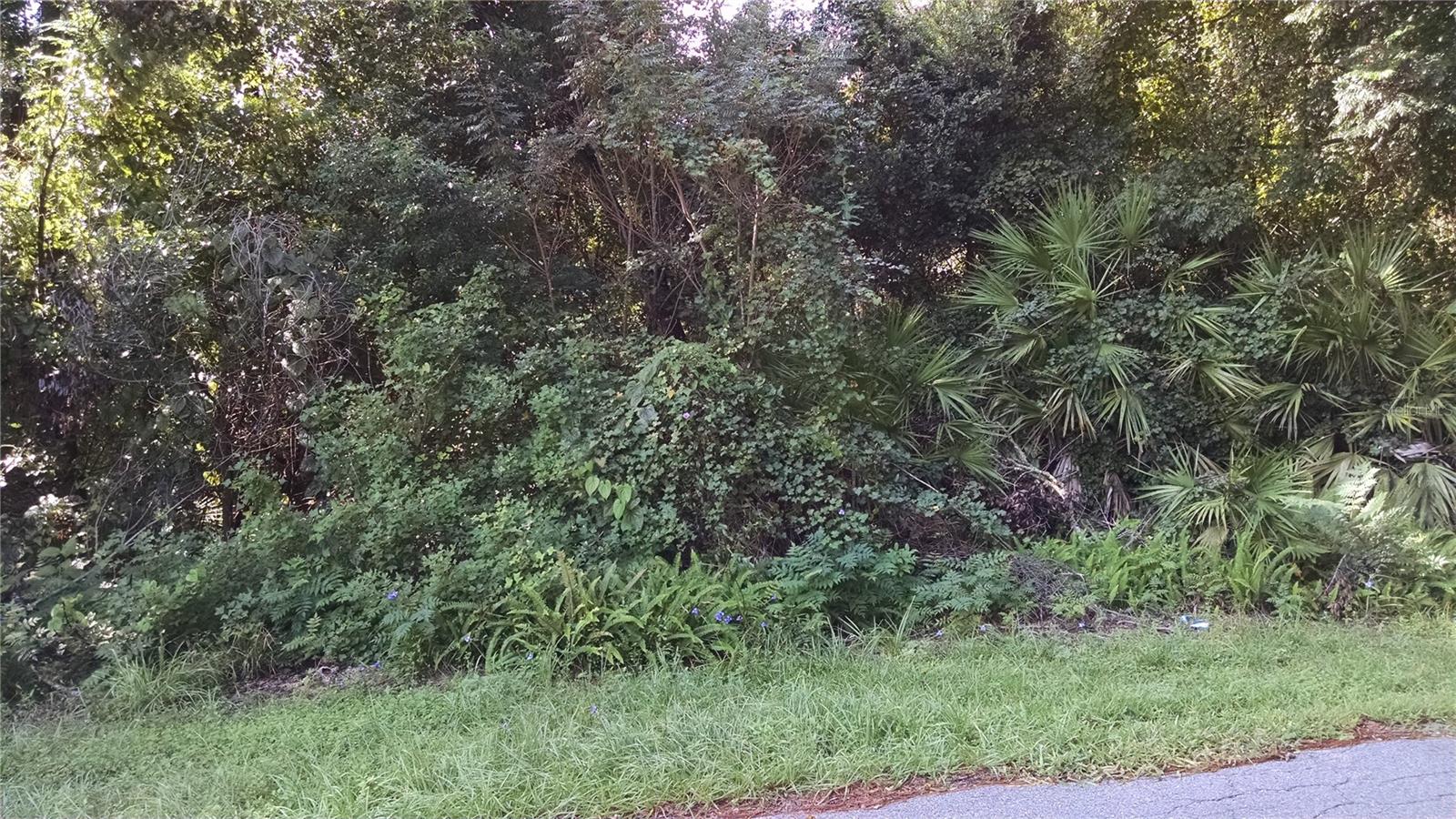 Photo of 1361 HOWLAND BOULEVARD DELTONA FL 32738