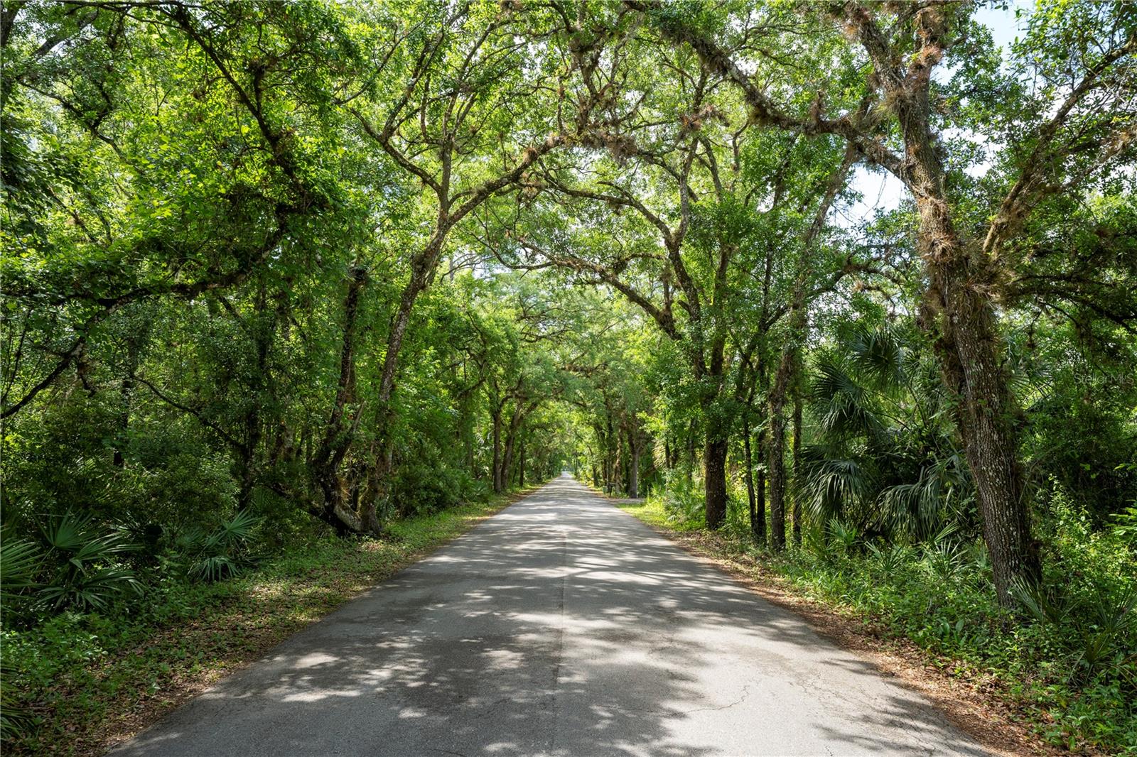 Photo of 651 S COUNTY ROAD 13 ORLANDO FL 32833