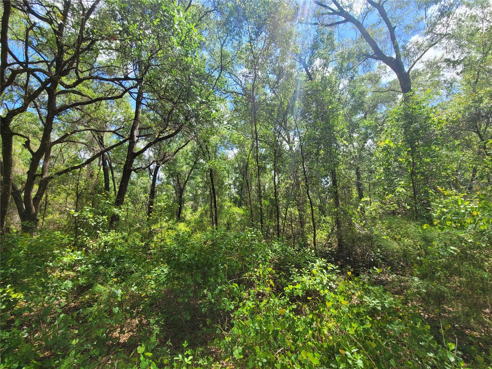 Photo of 912 FERNCREEK AVENUE INVERNESS FL 34453