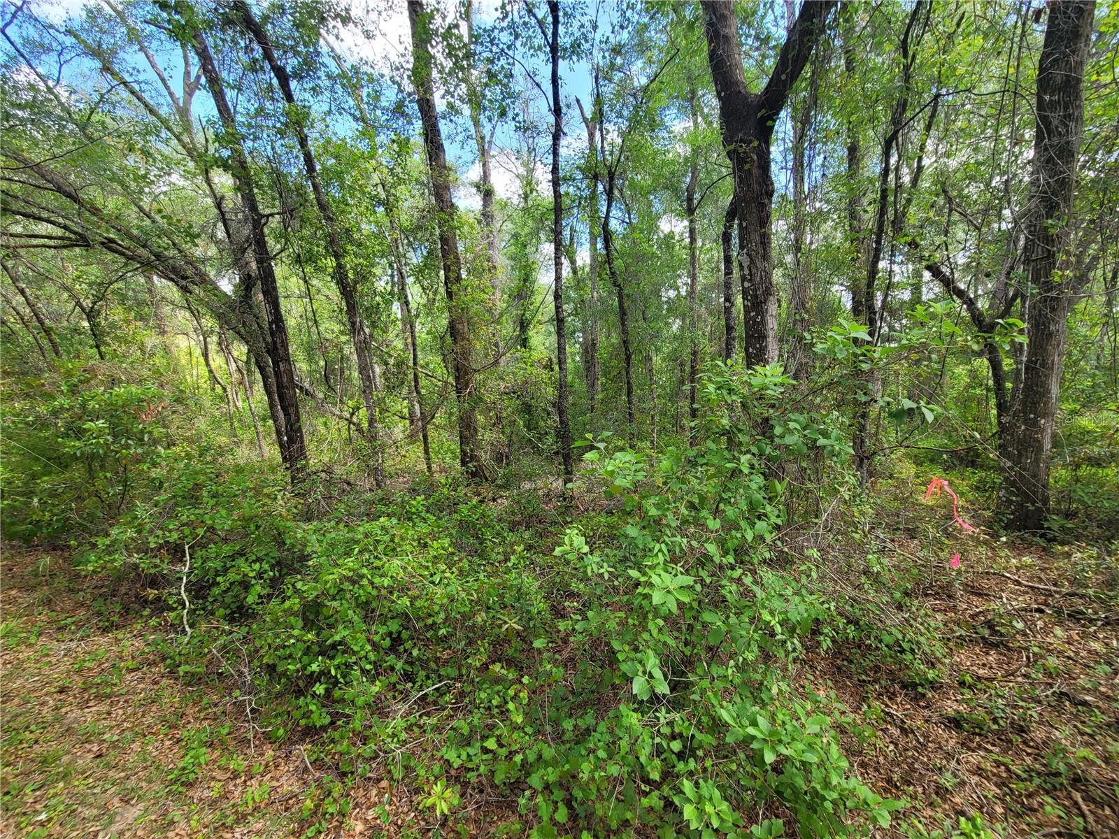 Photo of 910 FERNCREEK AVENUE INVERNESS FL 34453