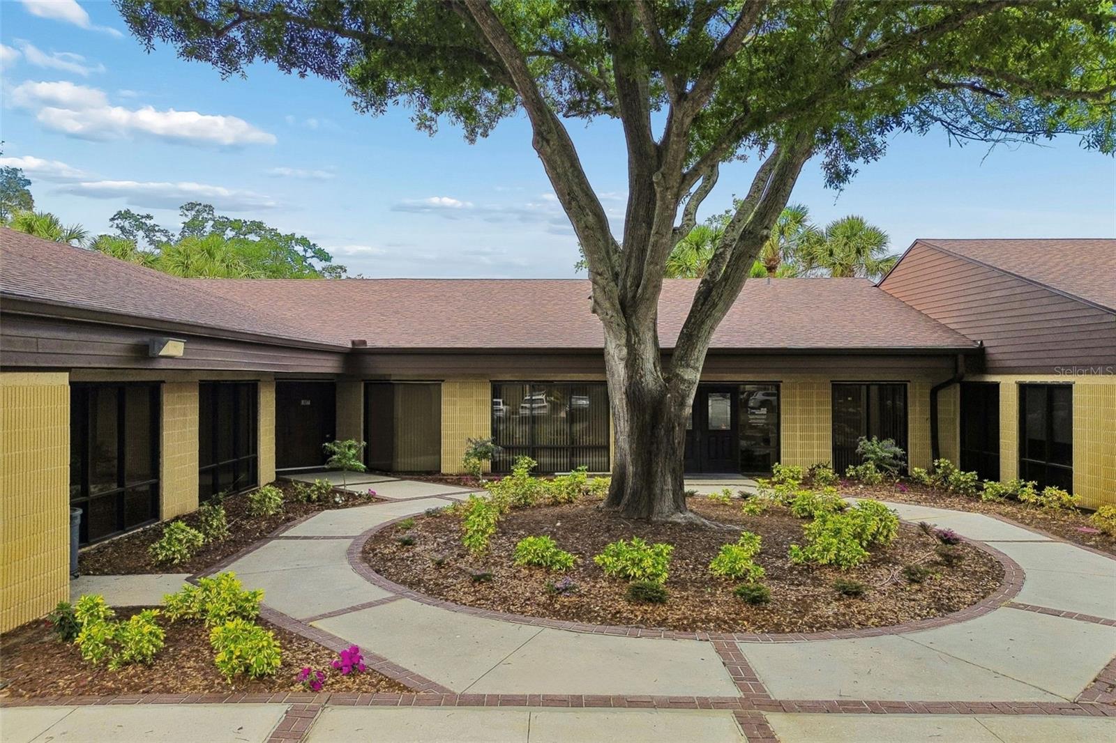 Photo of 611 DRUID ROAD #101-110 CLEARWATER FL 33756