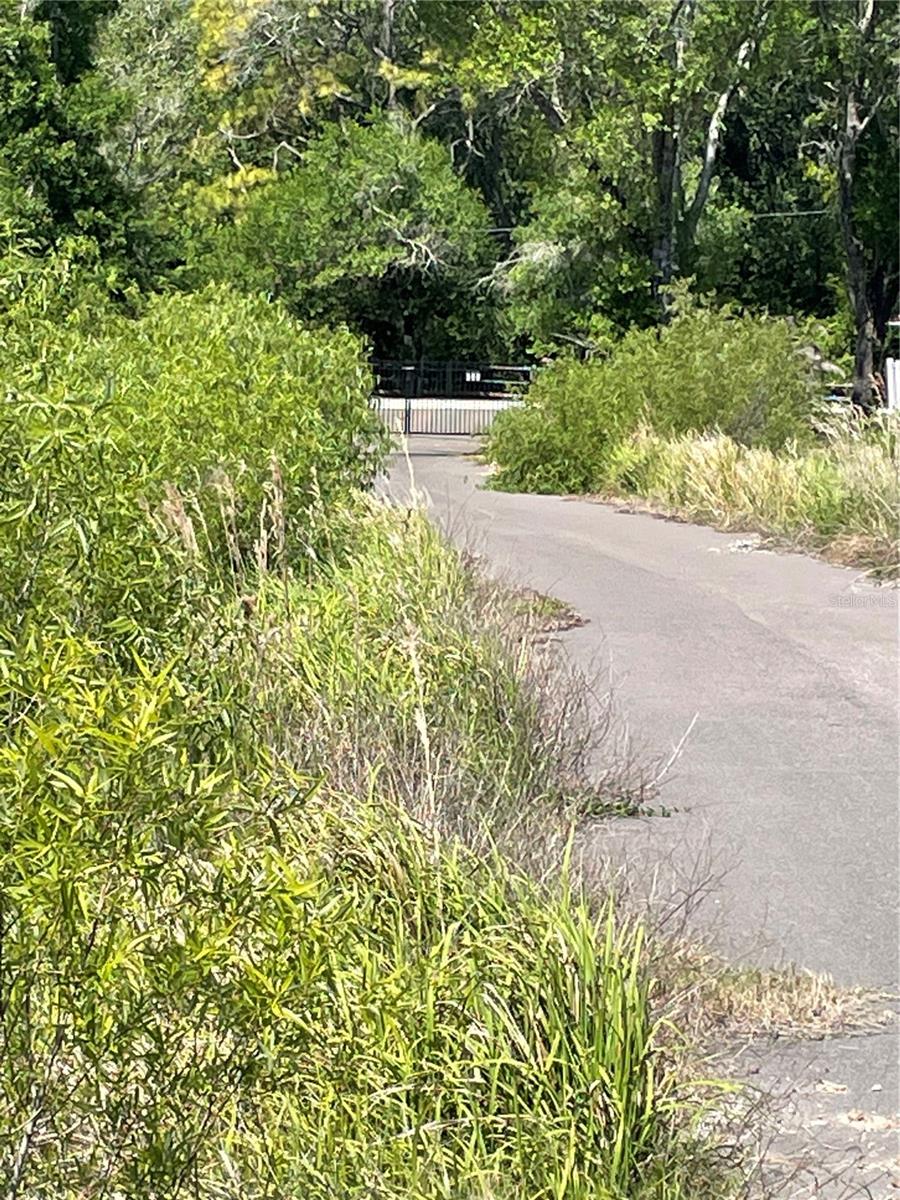 Photo of ARDENWOOD TAMPA FL 33625