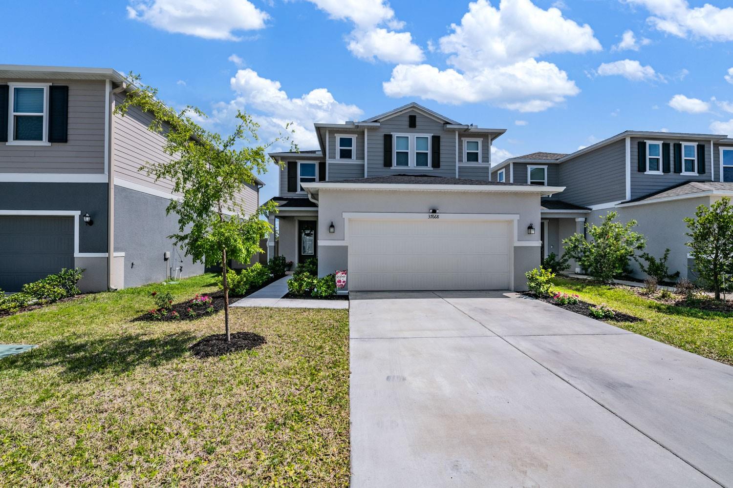 Photo of 37668 YUKON DRIVE ZEPHYRHILLS FL 33540