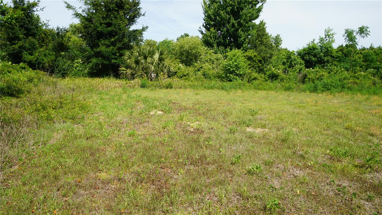 Photo of MARILYN AVENUE HOWEY IN THE HILLS FL 34737