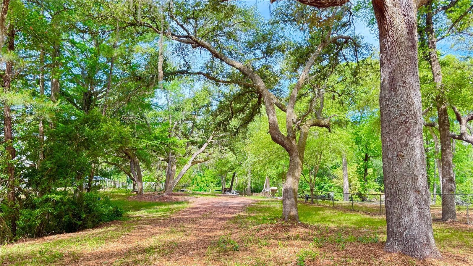 Photo of 2905 CREEK STREET MIDDLEBURG FL 32068