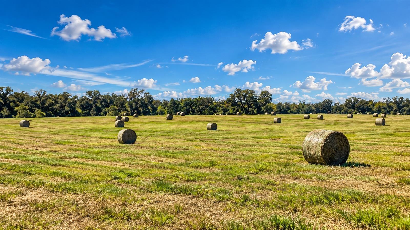 Photo of MONDON HILL ROAD BROOKSVILLE FL 34601