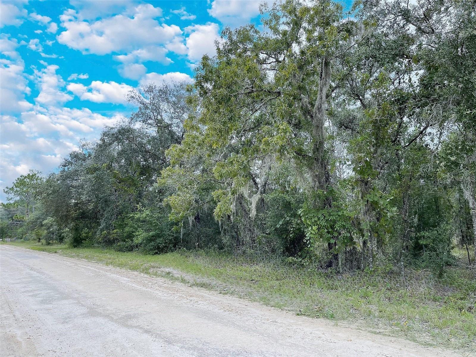 Photo of 14250 SE 2ND STREET WILLISTON FL 32696