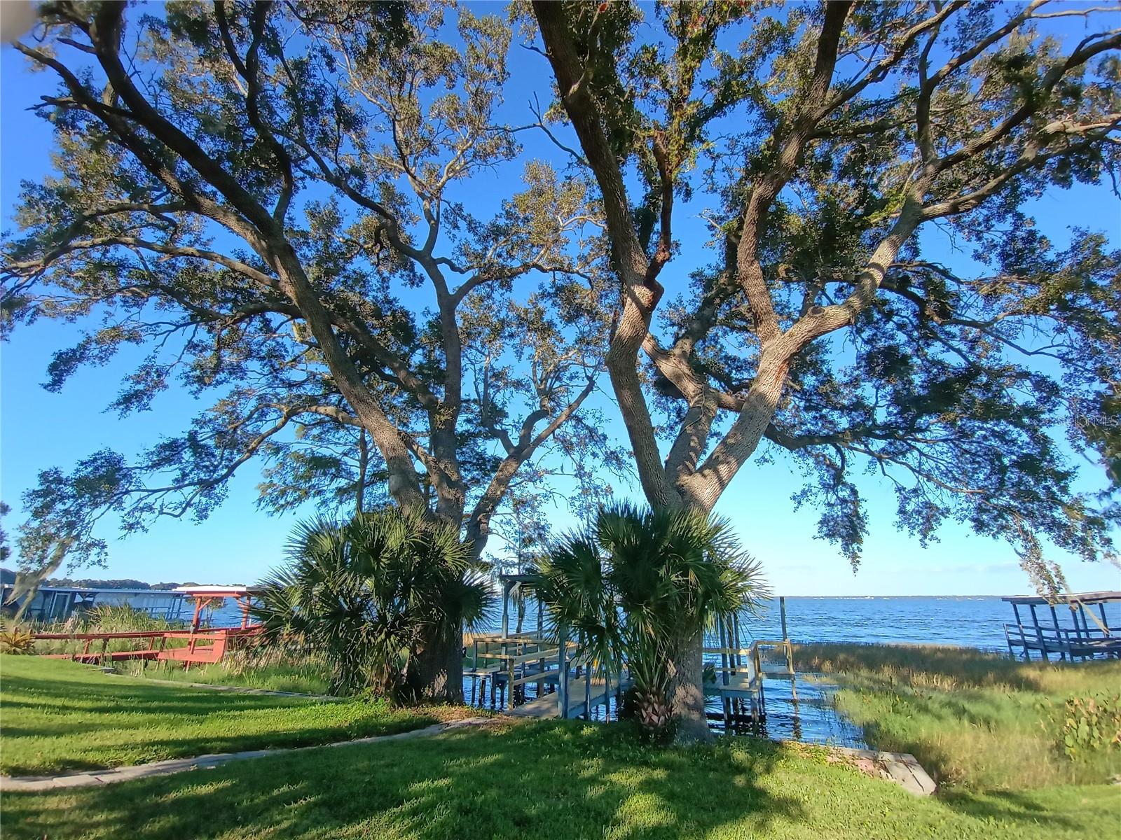 Photo of 34232 ISLAND DRIVE LEESBURG FL 34788