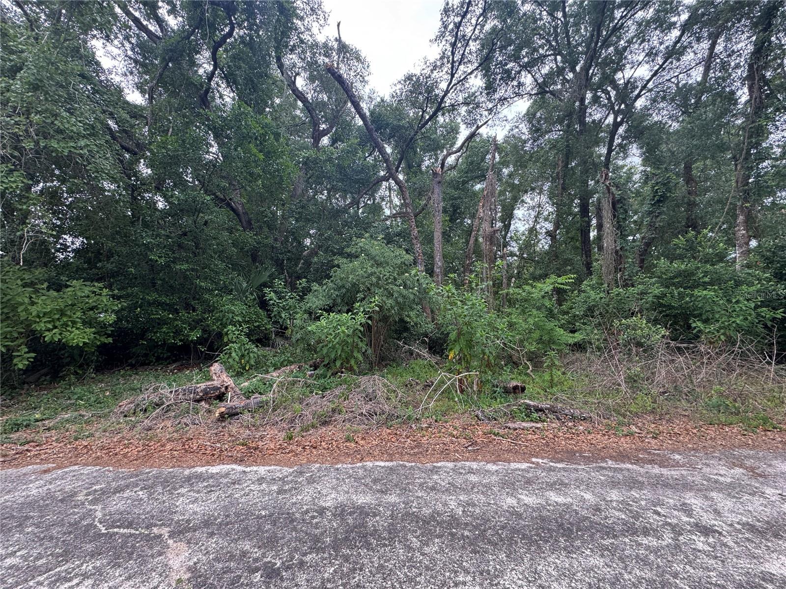 Photo of 3638 E LEE DRIVE INVERNESS FL 34453
