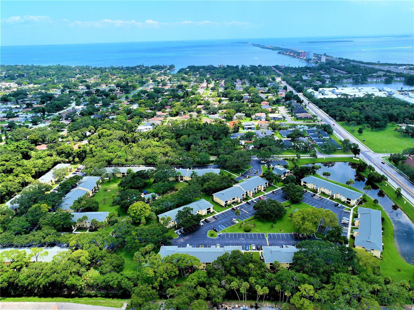 Photo of 3001 58TH AVENUE #805 ST PETERSBURG FL 33712