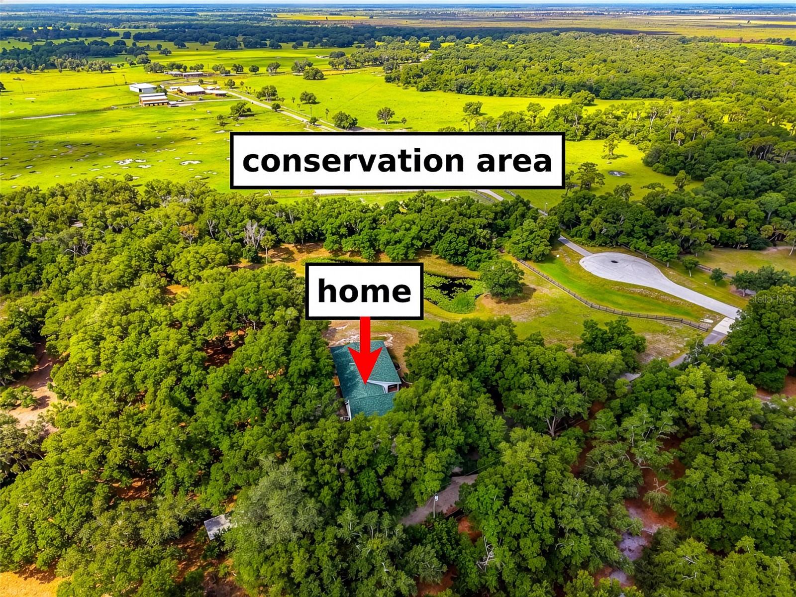 Photo of 14705 MOSSY HAMMOCK LANE MYAKKA CITY FL 34251