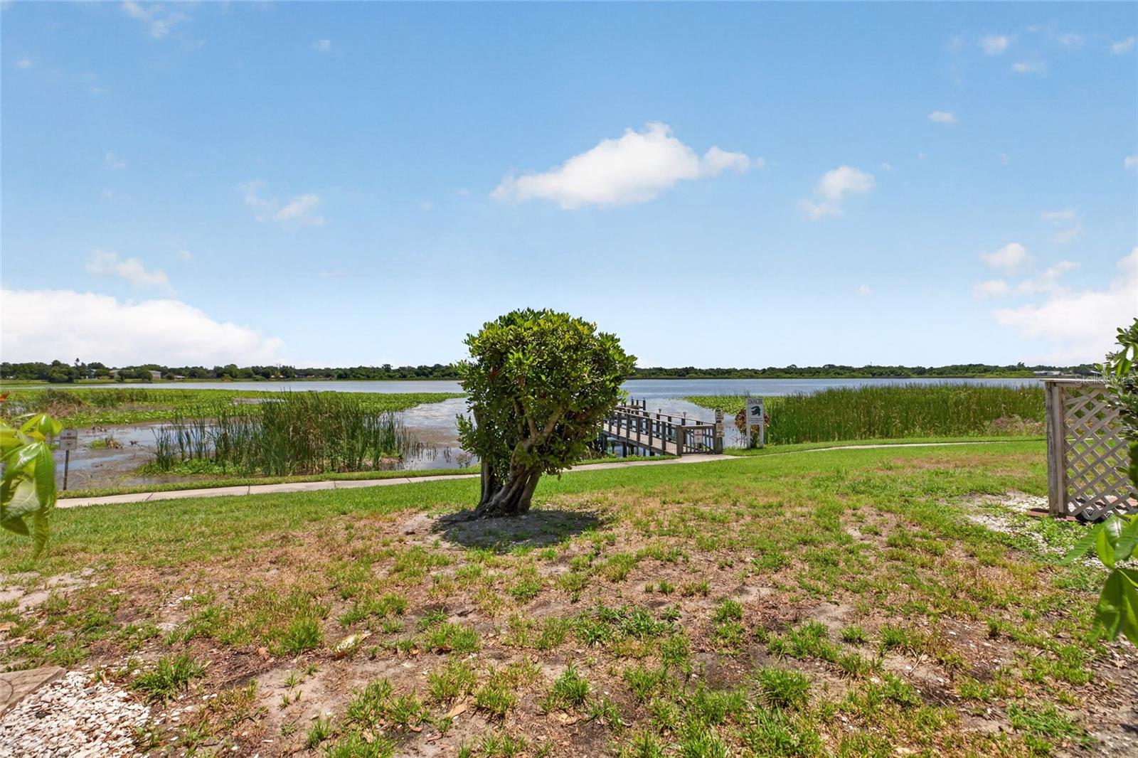 Photo of 10125 SAILWINDS BOULEVARD #104 LARGO FL 33773