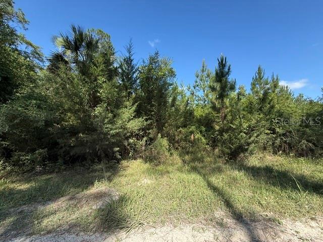 Photo of COUNTY ROAD 75 BUNNELL FL 32110