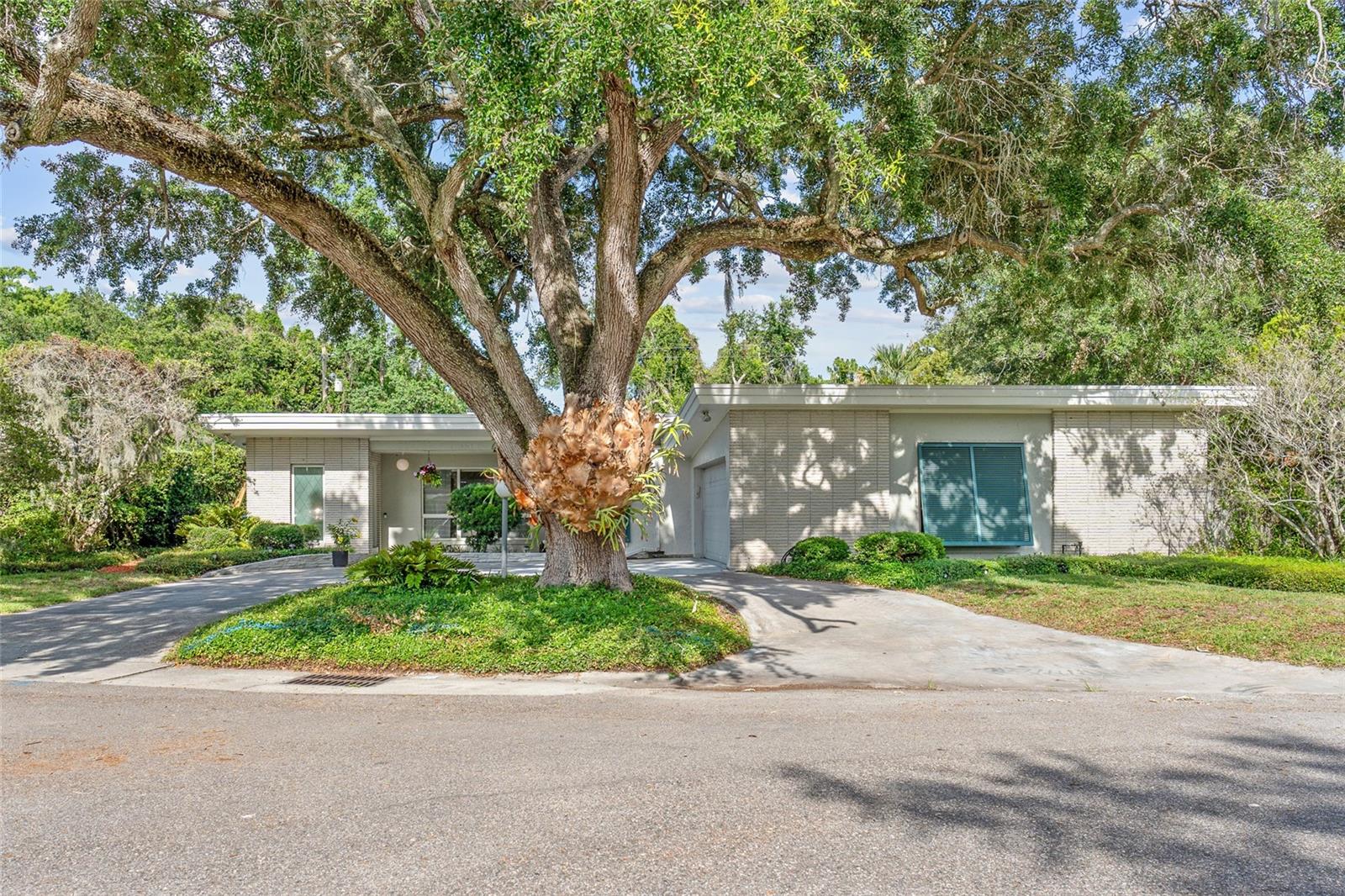 Photo of 338 BLUE HERON DRIVE WINTER PARK FL 32789