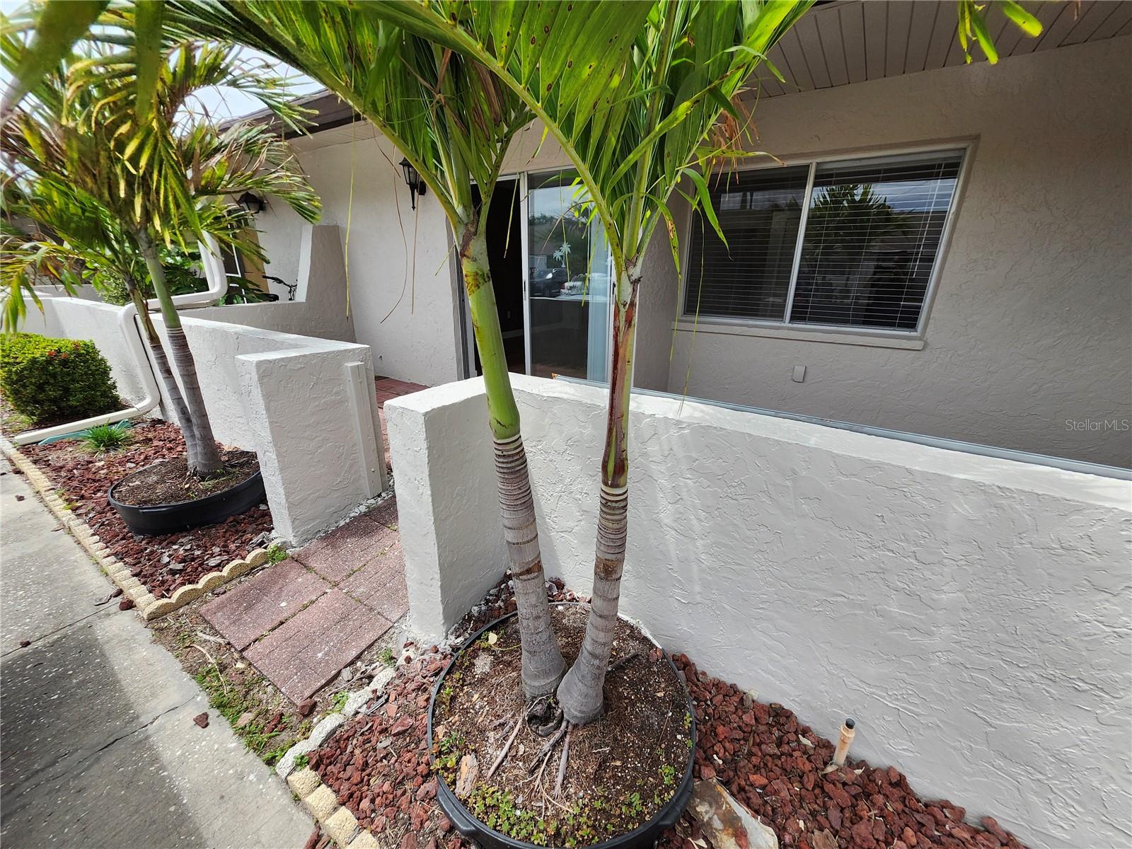 Photo of 1513 16TH CIRCLE #43 LARGO FL 33771