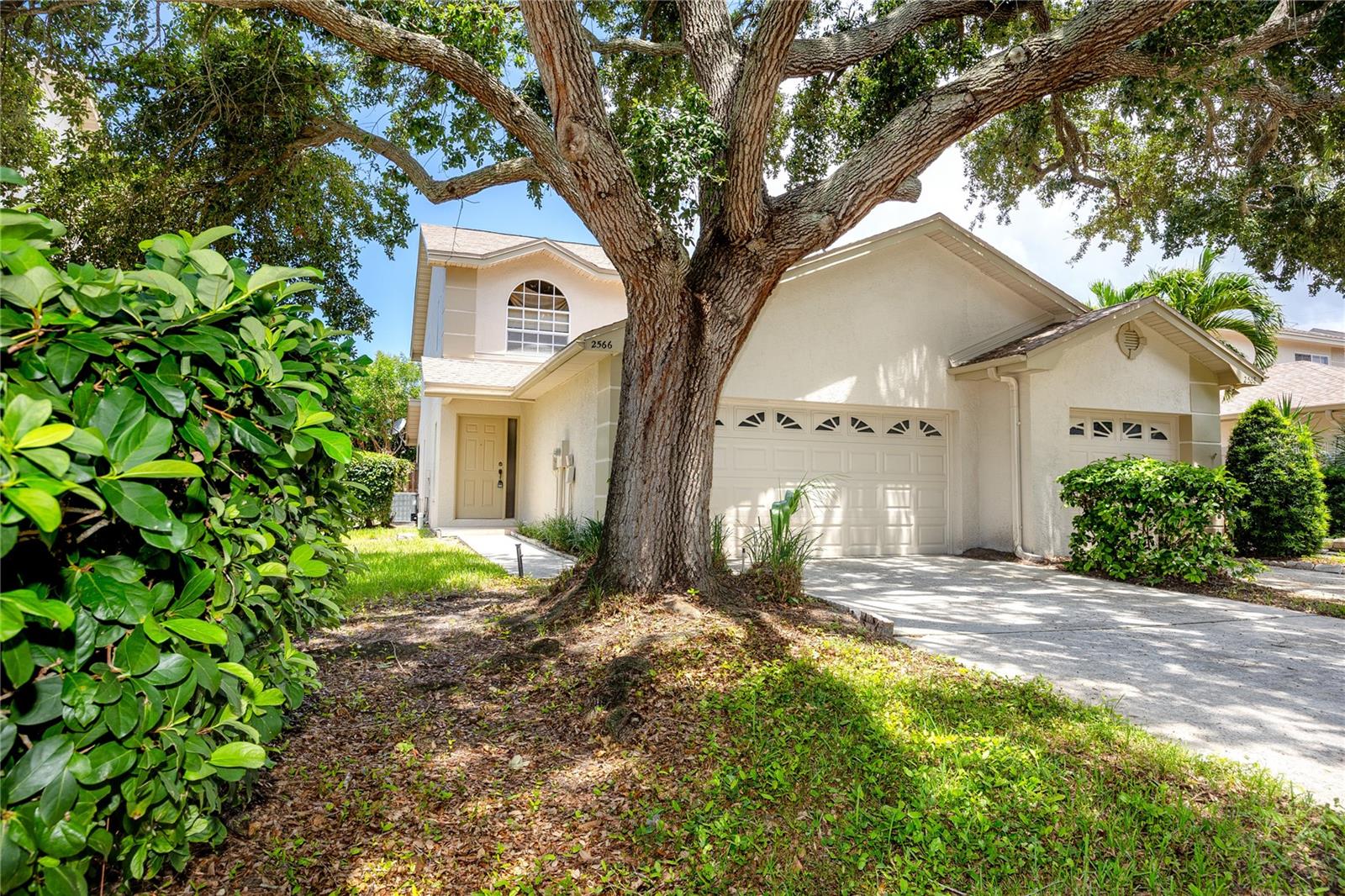 Photo of 2566 W BROOK LANE CLEARWATER FL 33761