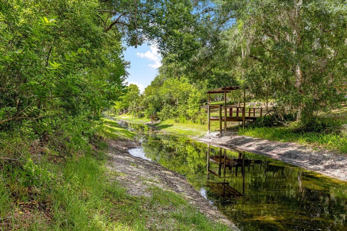Photo of 2964 S CYGNET TERRACE INVERNESS FL 34450