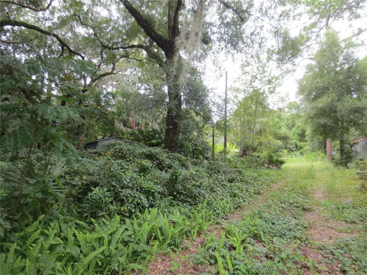 Photo of 16865 SE 3RD PLACE SILVER SPRINGS FL 34488