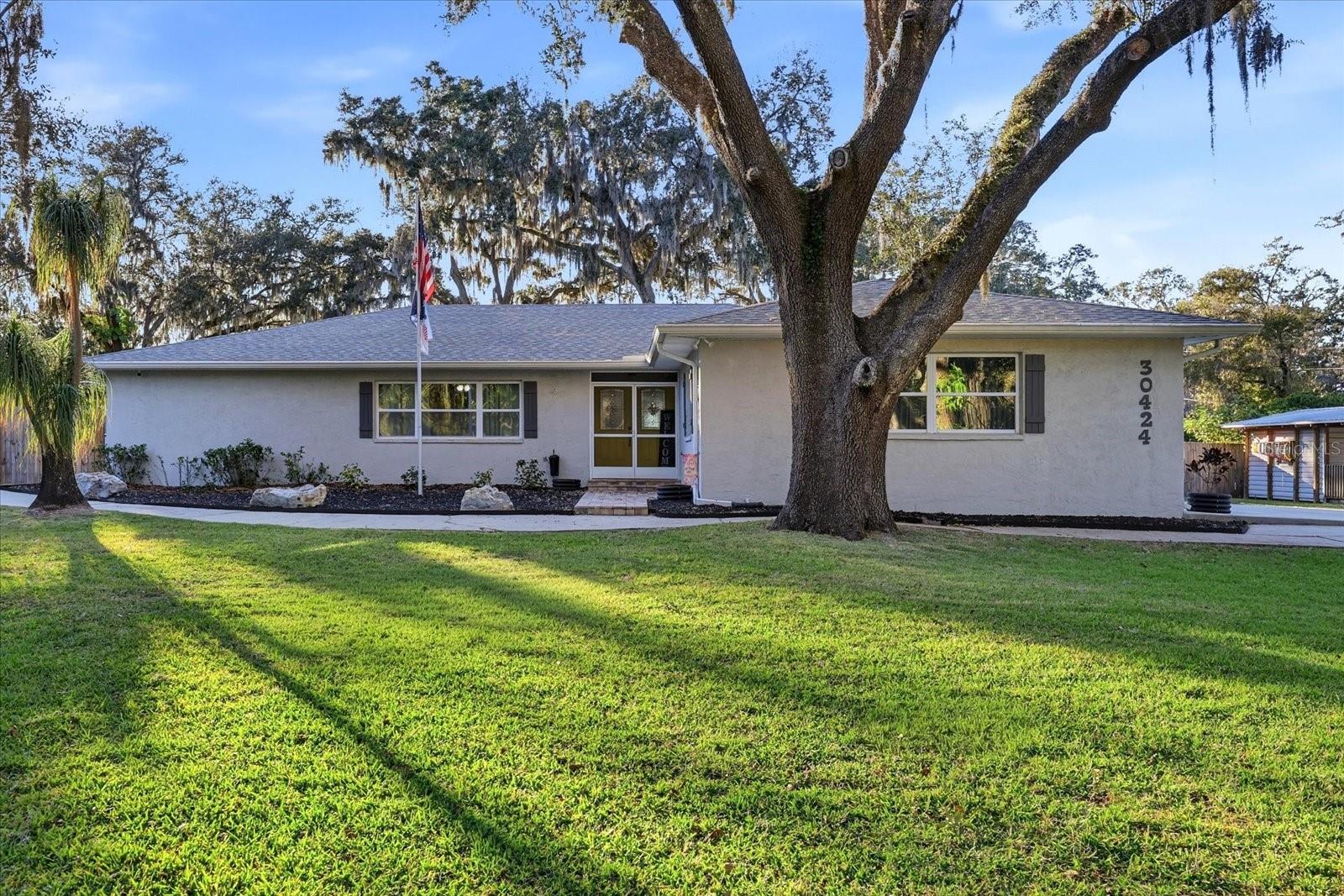 Photo of 30424 HILLSIDE LANE WESLEY CHAPEL FL 33545