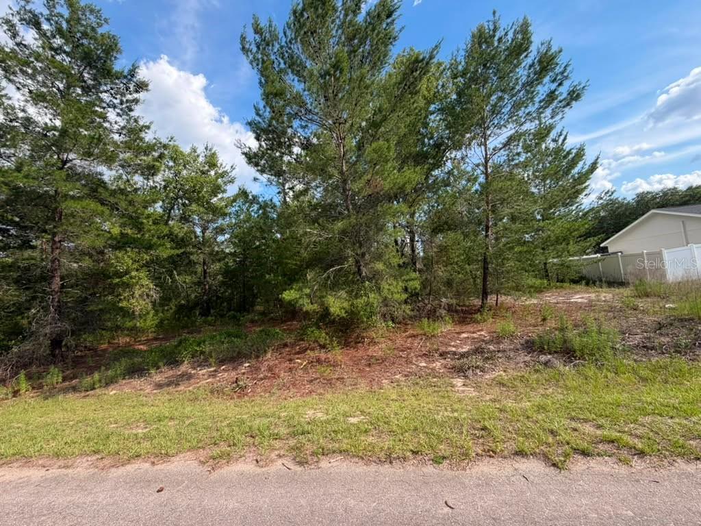Photo of 22 FISHER RUN LANE OCKLAWAHA FL 32179