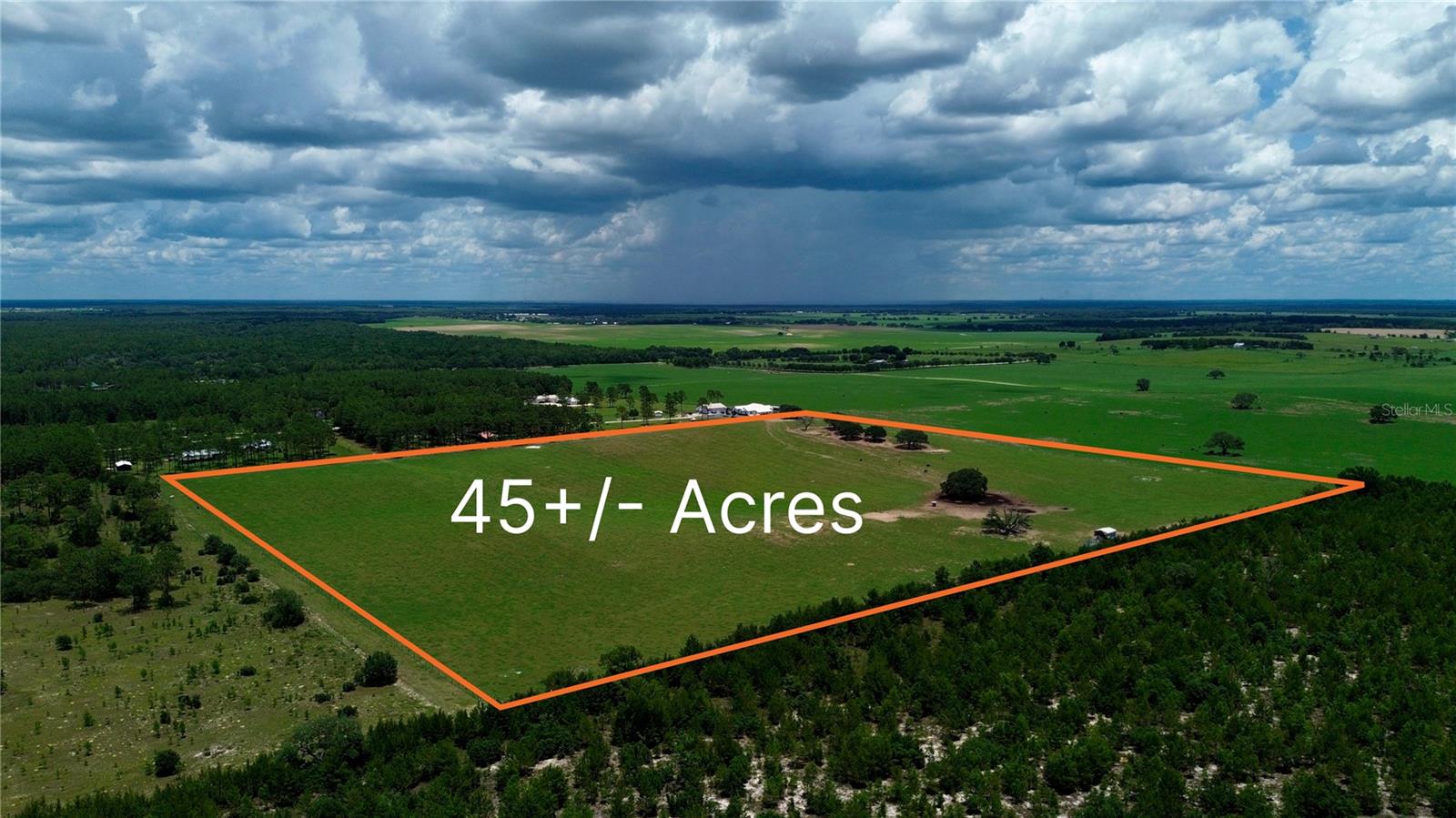 Photo of SE 54TH STREET MORRISTON FL 32668