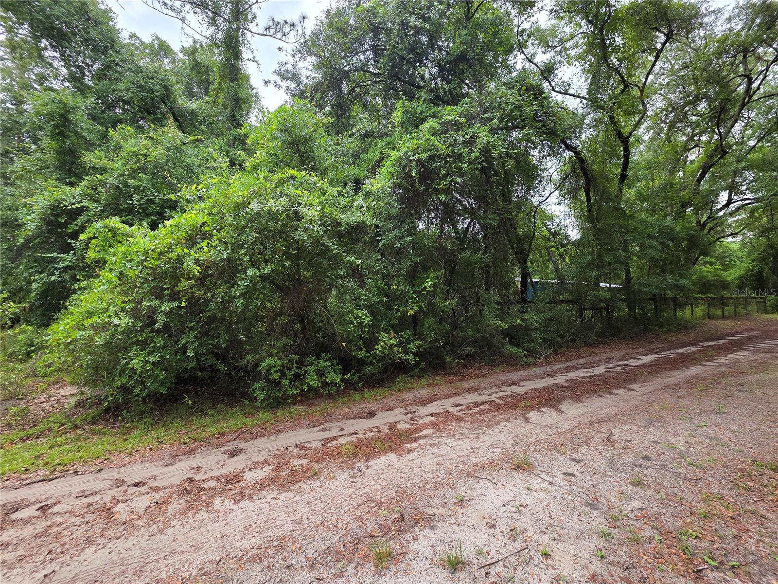 Photo of 000 NE 138TH TERRACE FORT MC COY FL 32134