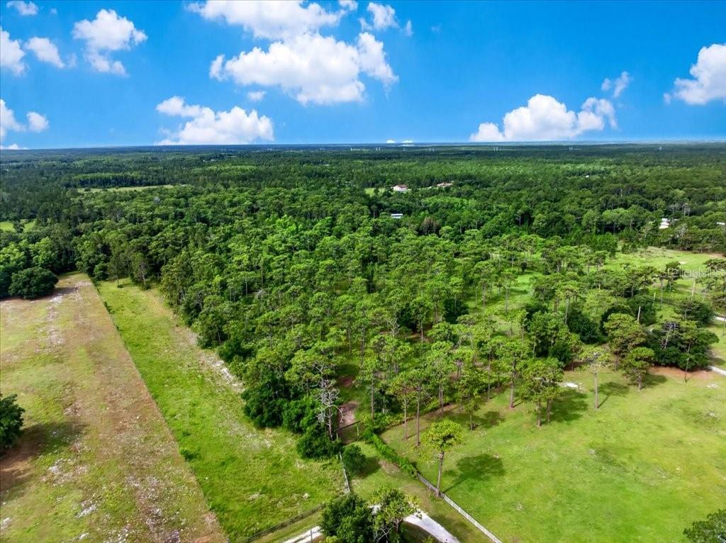 Photo of 4600 SADDLE CREEK RUN NEW SMYRNA BEACH FL 32168