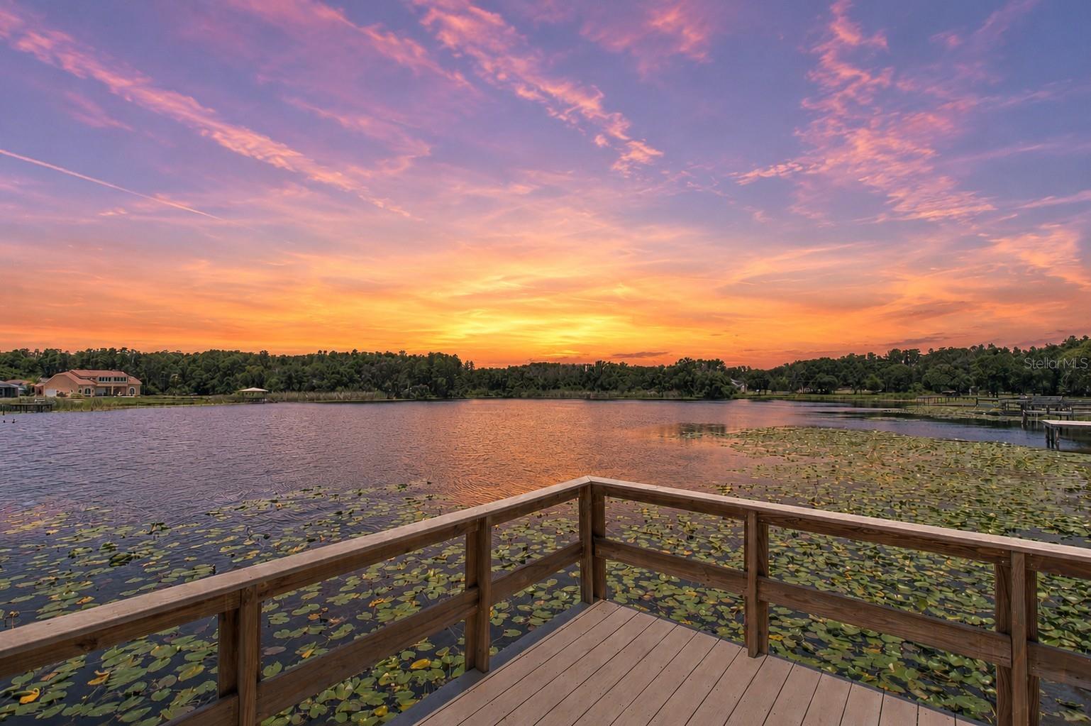 Photo of 2459 SHOREWOOD LANE LAND O LAKES FL 34639