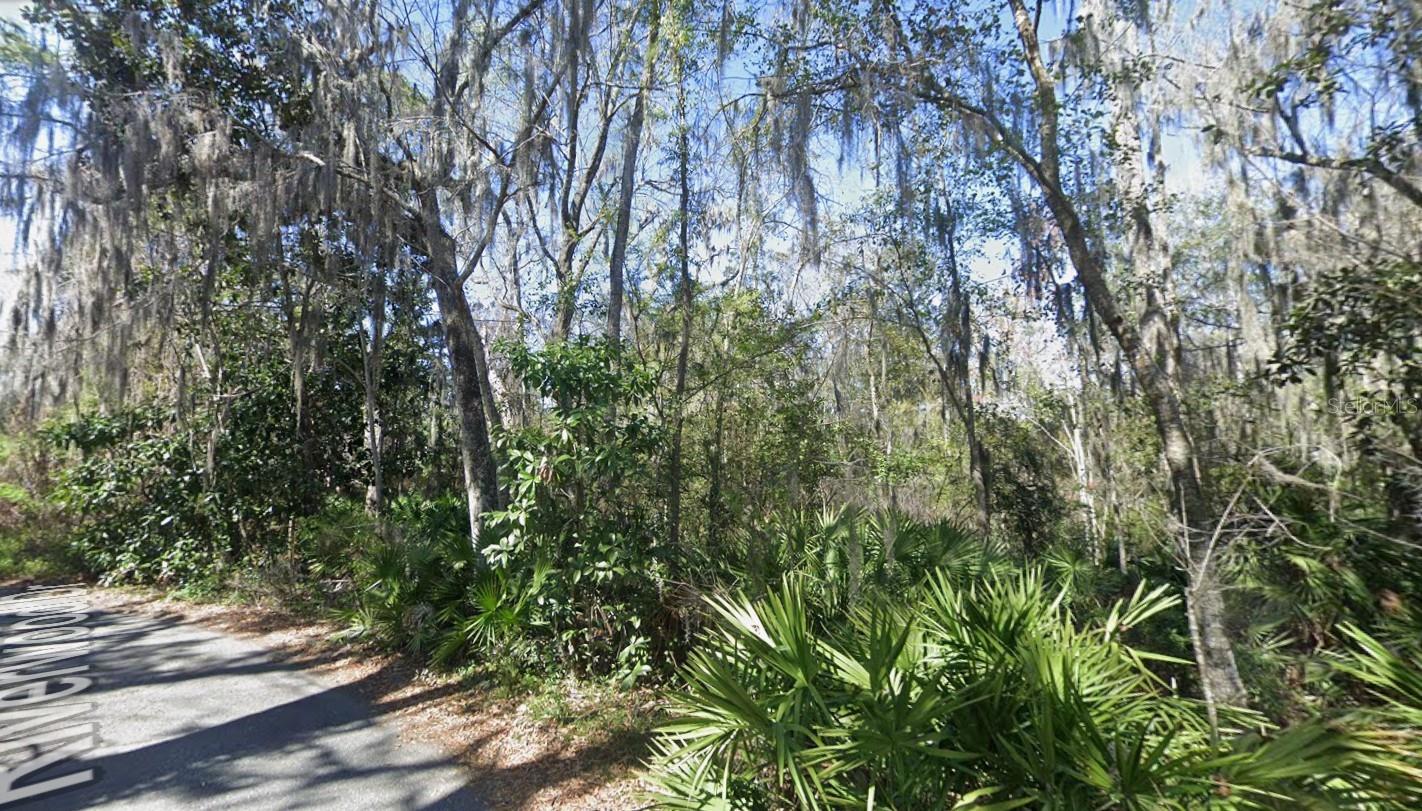 Photo of RIVERWOOD DRIVE FLEMING ISLAND FL 32003