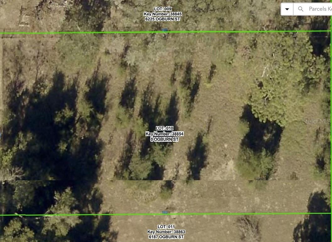 Photo of 0 OGBURN STREET BROOKSVILLE FL 34602