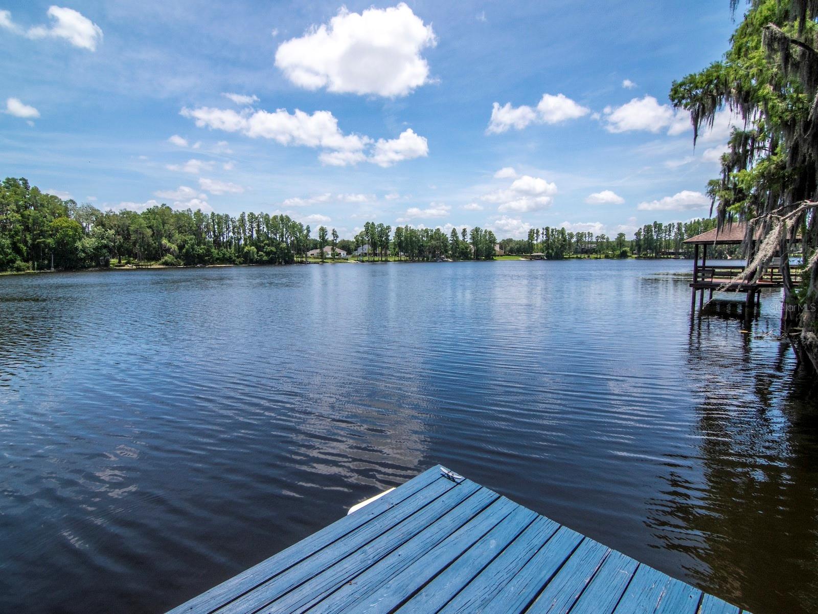 Photo of 219 WILLOW BEND PARKWAY LUTZ FL 33549