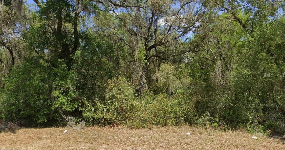 Photo of 21175 SE 142ND LANE UMATILLA FL 32784