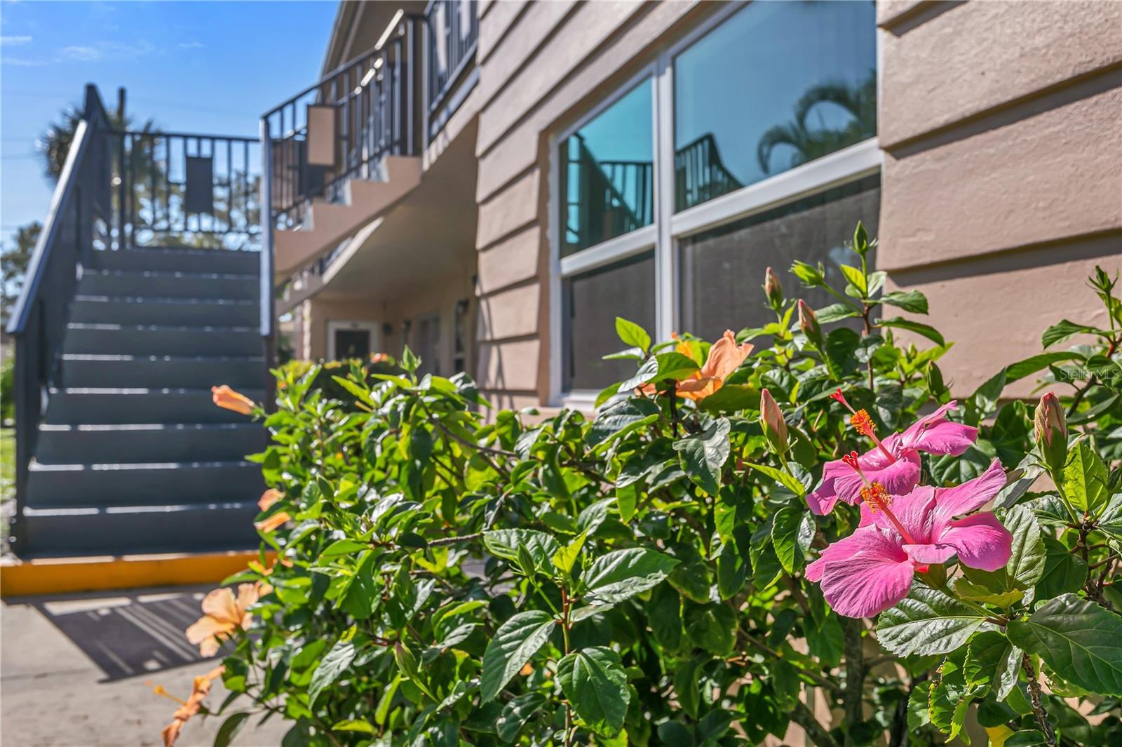 Photo of 216 36TH AVENUE #202B ST PETERSBURG FL 33704
