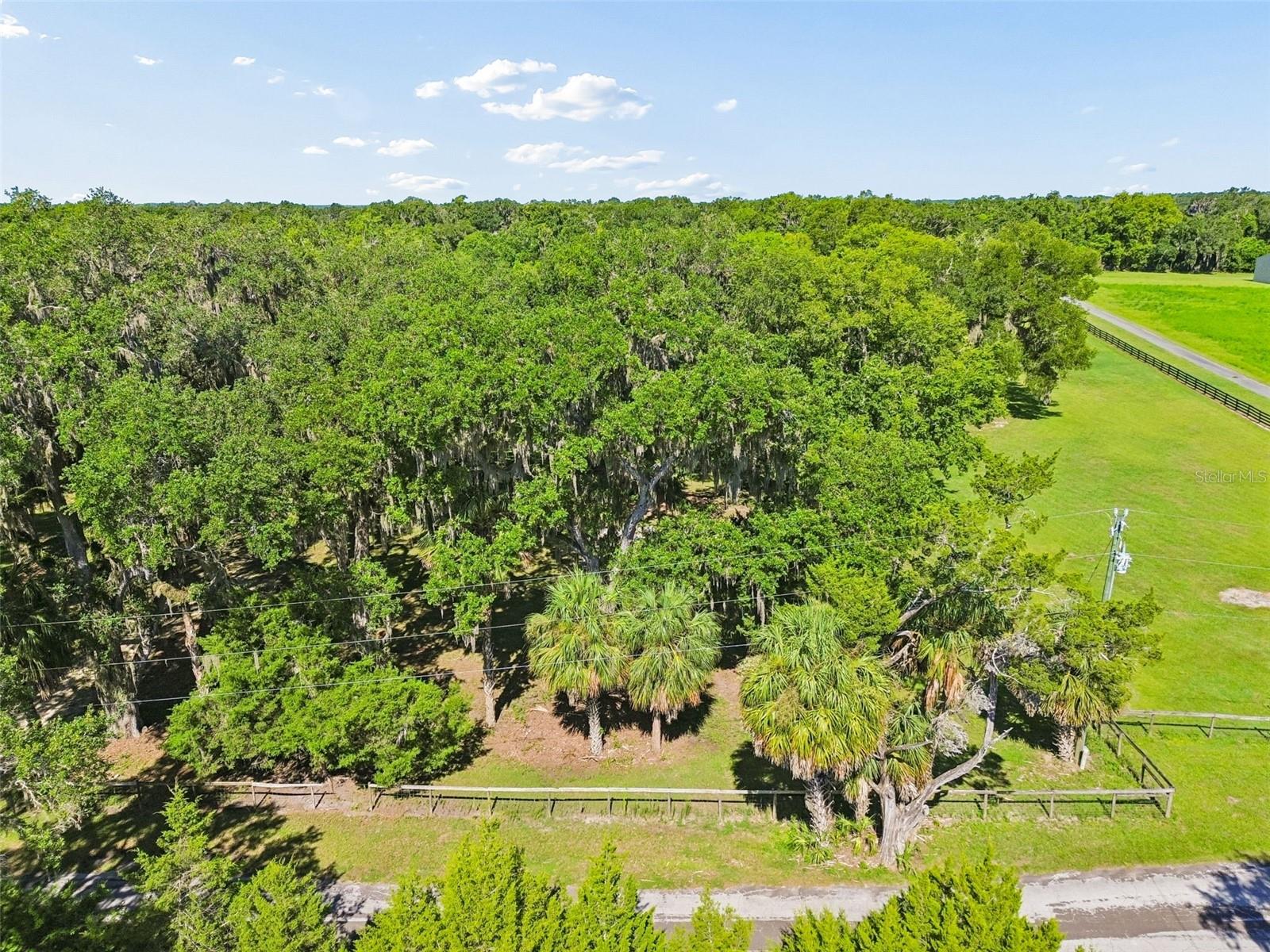 Photo of 8792 S STEED TERRACE FLORAL CITY FL 34436