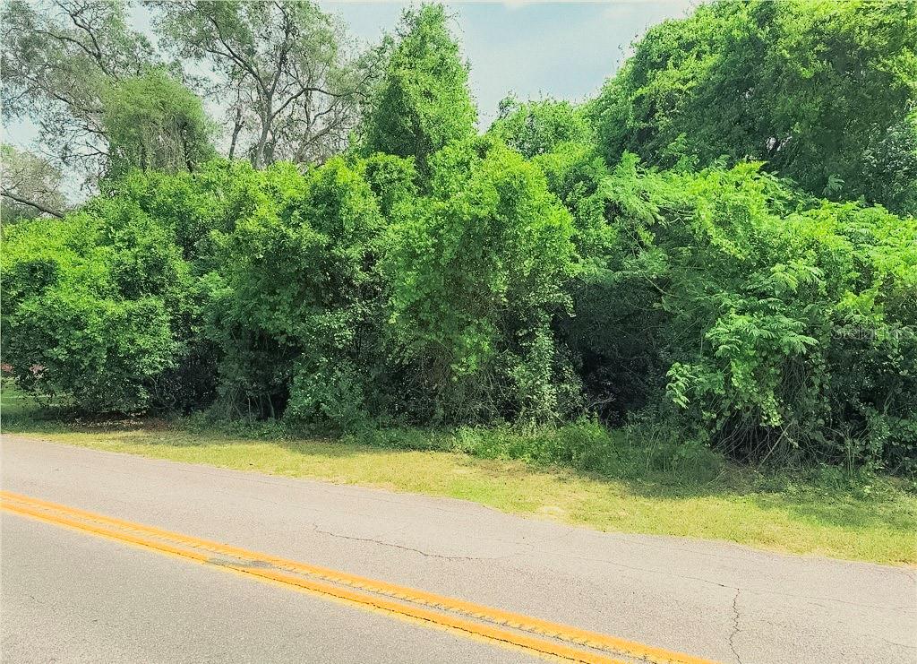 Photo of 3638 E DELIGHT STREET HERNANDO FL 34442