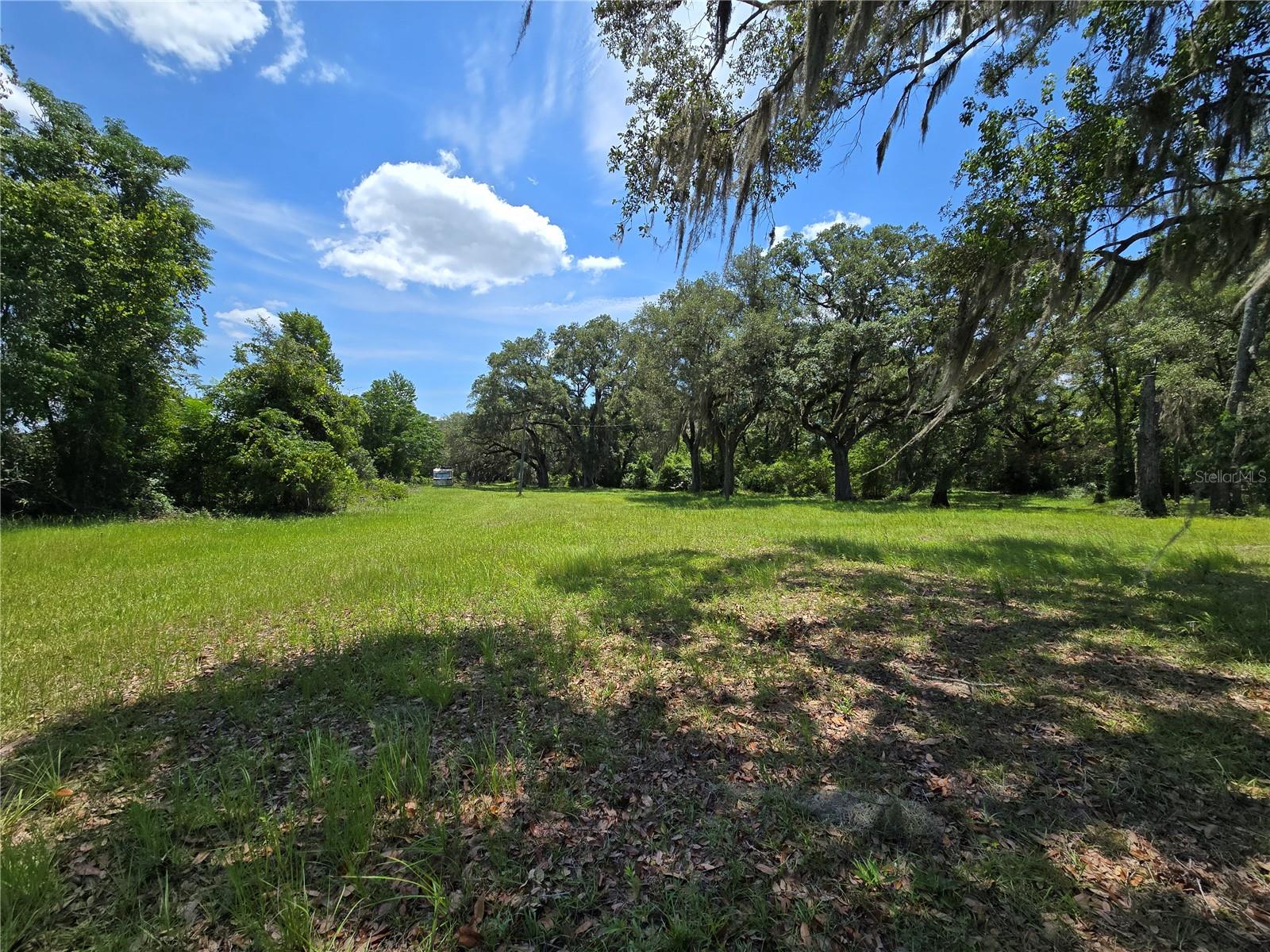Photo of 7563 SE COUNTY ROAD 405 BRANFORD FL 32008