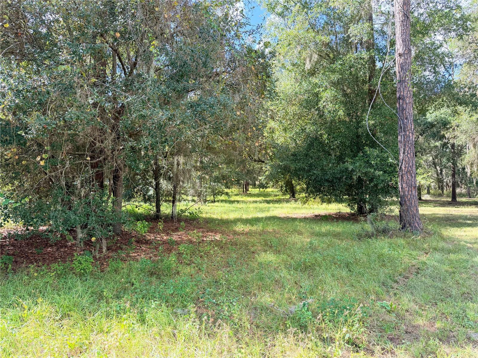 Photo of BONSMARA DRIVE GROVELAND FL 34736