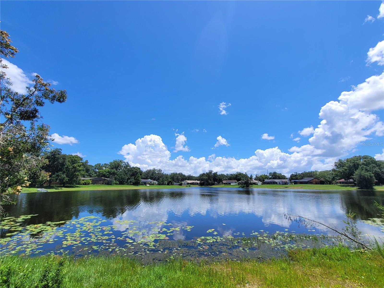 Photo of 708 WARREN ROAD LUTZ FL 33548