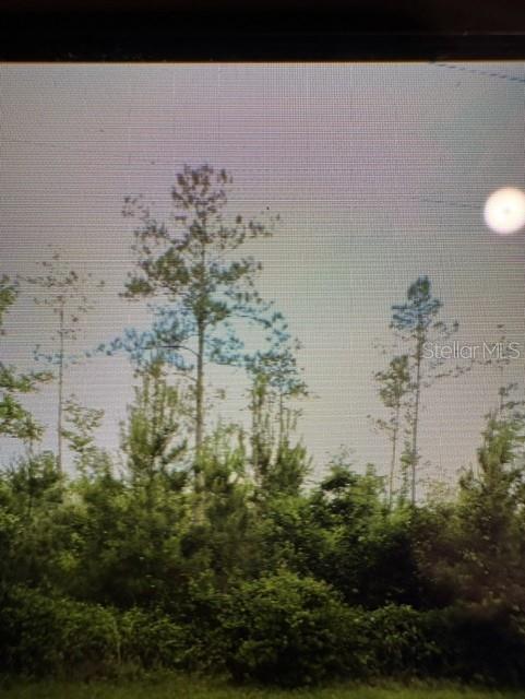 Photo of COUNTY ROAD 305 BUNNELL FL 32110